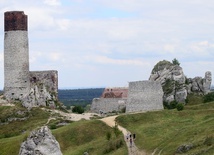 Narzędzia neandertalczyków 