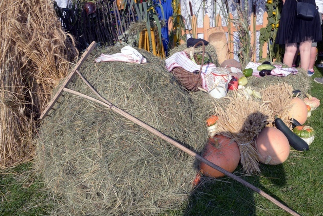 Dożynki w Radzicach Dużych