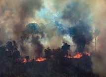 Władze Brazylii przyjmą zagraniczną pomoc w walce z pożarami Amazonii