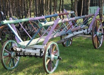 Skansen w Baranowie Sandomierskim