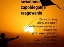 Zasady prewencji. Dokument jest dostępny w Internecie