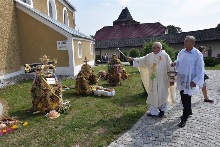 Gminne dożynki w Żelaźnie