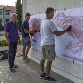 Mural DKMS w Tarnobrzegu
