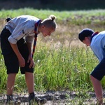 Zakończenie wakacji Skautów Europy