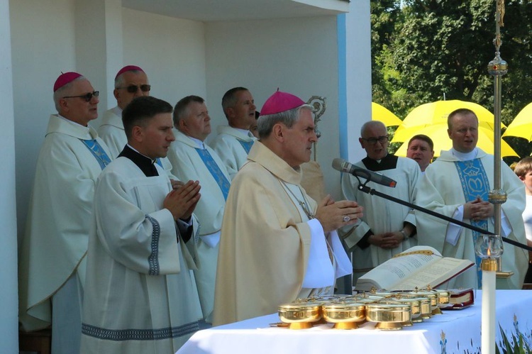 Uroczystości odpustowe w Wąwolnicy