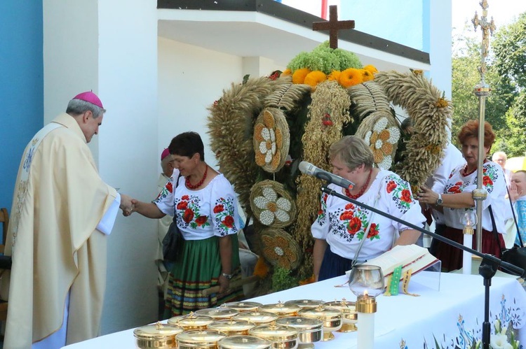 Uroczystości odpustowe w Wąwolnicy