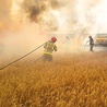 ▼	W upalne miesiące bardzo często dochodzi do pożarów zbóż i ściernisk.