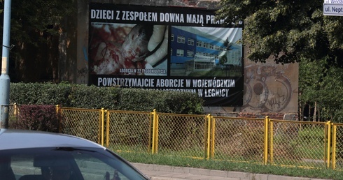 Legnica. Proliferzy pewni swego