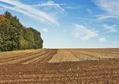 Pieniądze na produkcję rolną i premia na pozaroliczą działalność