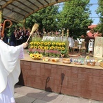 Brzesko. Diecezjalne Święto Chleba 2019