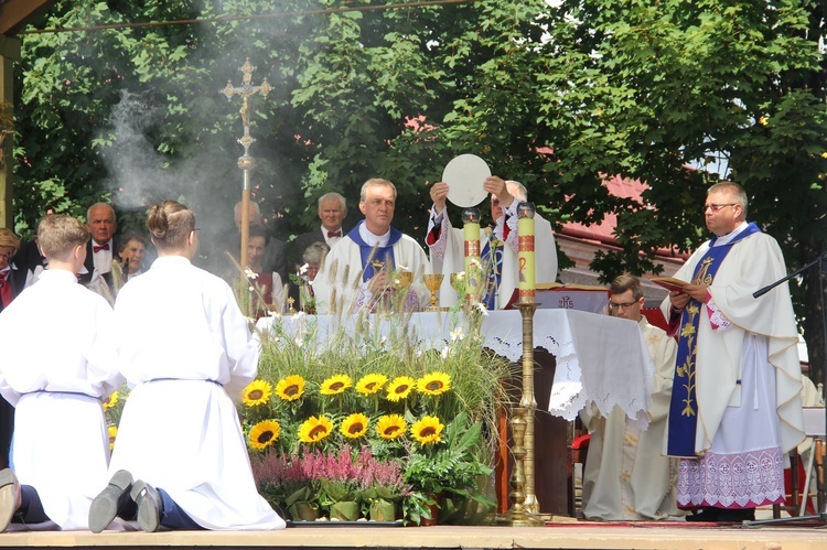 Brzesko. Diecezjalne Święto Chleba 2019