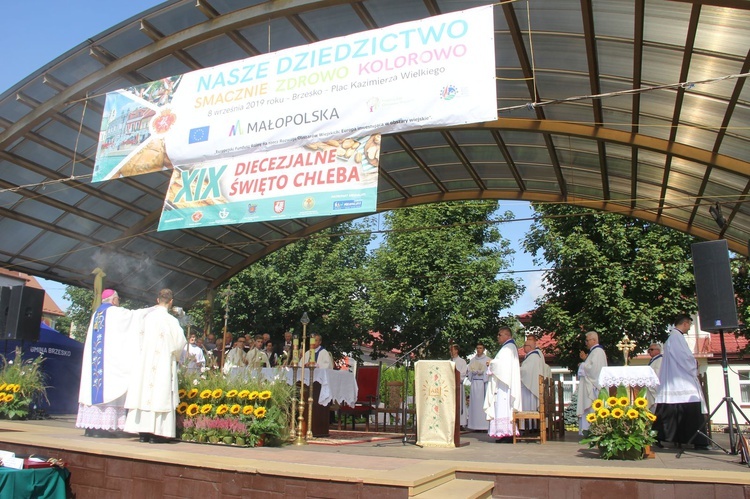 Brzesko. Diecezjalne Święto Chleba 2019