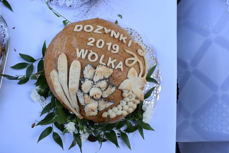 Odpust z dożynkami w Janowie Lubelskim