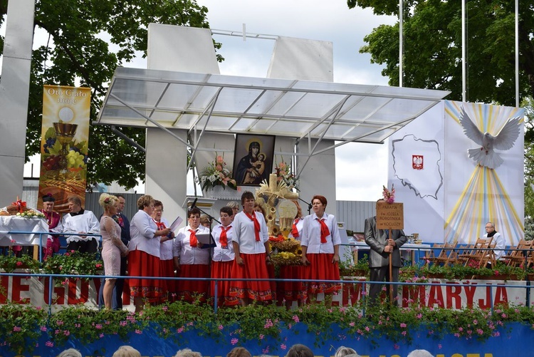 Odpust z dożynkami w Janowie Lubelskim