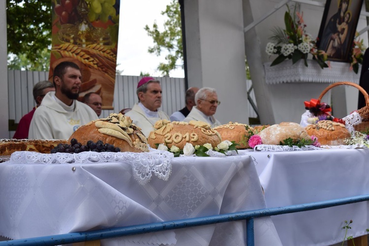 Odpust z dożynkami w Janowie Lubelskim