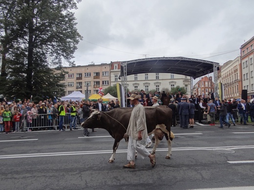 Gwarki Tarnogórskie 2019    