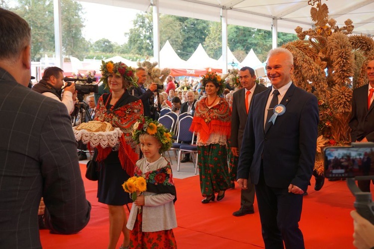 Dożynki wojewódzko-diecezjalne w Niemczy