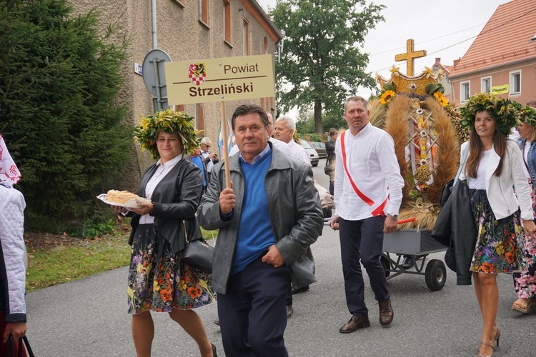 Dożynki wojewódzko-diecezjalne w Niemczy