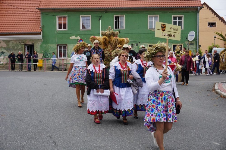 Dożynki wojewódzko-diecezjalne w Niemczy