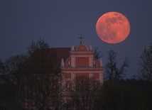 Skrzatusz w niezwykłej fotografii