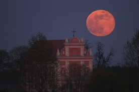 Skrzatusz w niezwykłej fotografii