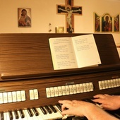 Nauka w studium trwa 5 lat.