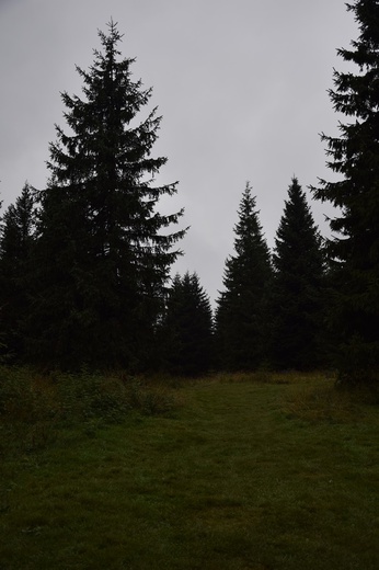 Biały Dunajec 2019 - na szlaku