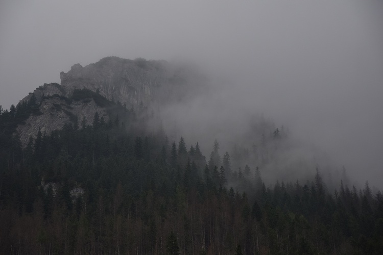 Biały Dunajec 2019 - na szlaku