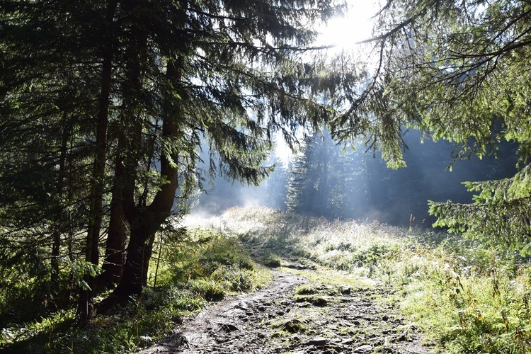 Biały Dunajec 2019 - na szlaku