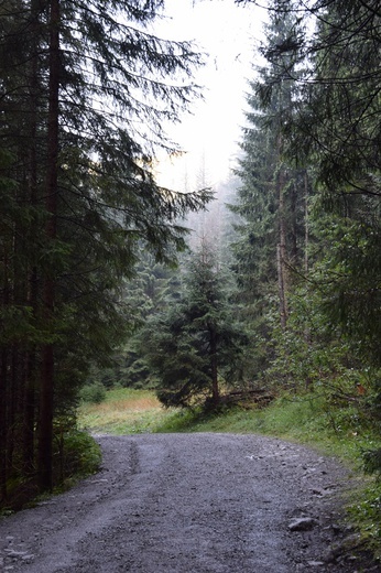 Biały Dunajec 2019 - na szlaku