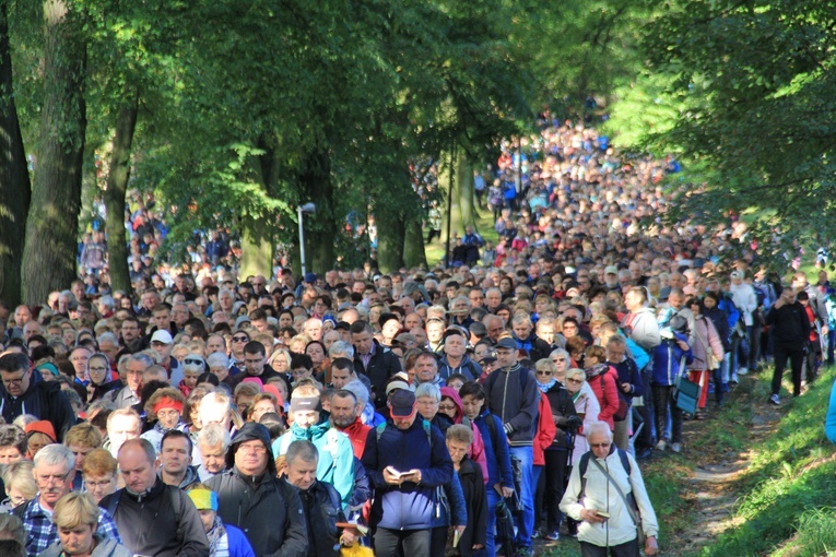 Podwyższenie Krzyża Świętego. Obchody kalwaryjskie