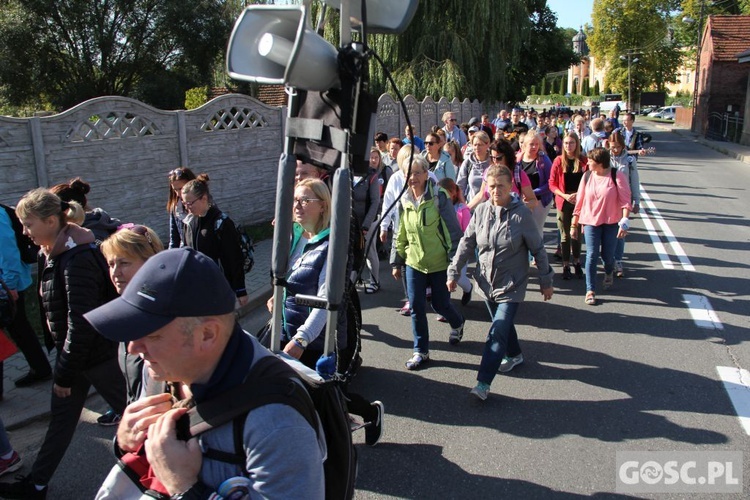 39. Piesza Pielgrzymka ze Świebodzina do Rokitna