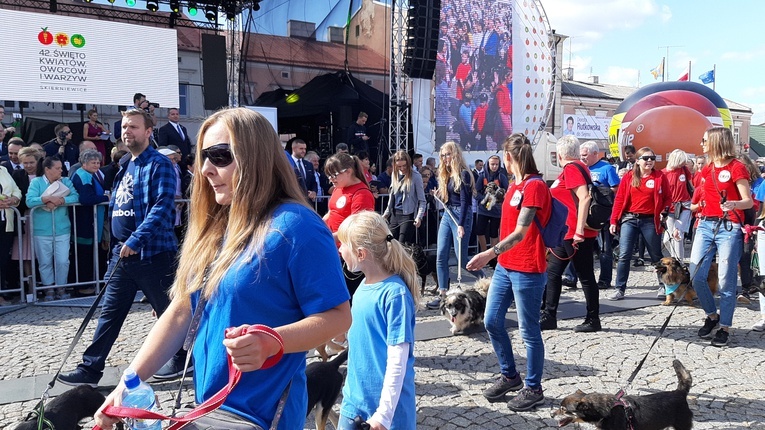 42. SŚKOiW - Parada