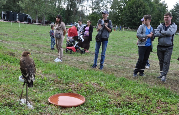 IV. Festiwal Mikołaja z Koźla