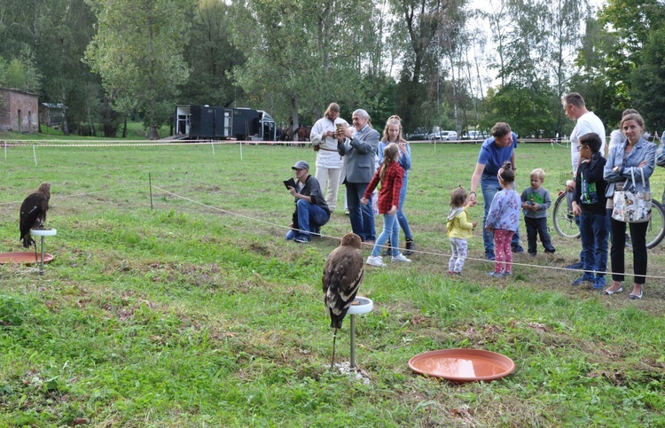 IV. Festiwal Mikołaja z Koźla