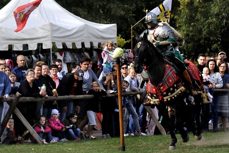 Pułtusk. VI Piknik z husarią (część I)