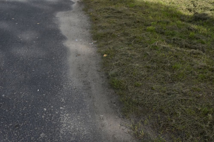 Główne uroczystości upamiętniające więźniów obozu pracy