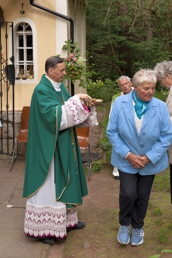 Z wizytą u Matki Bożej w Zielonej Dolinie