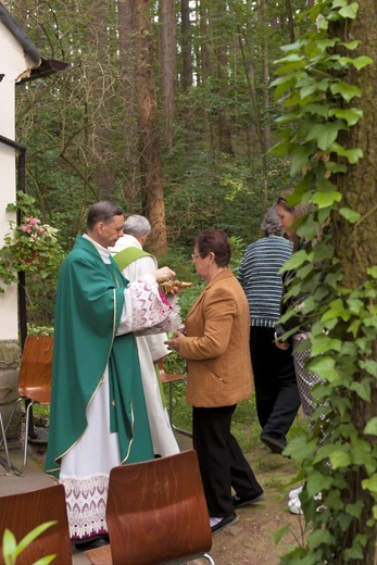 Z wizytą u Matki Bożej w Zielonej Dolinie