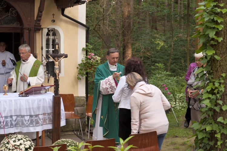 Z wizytą u Matki Bożej w Zielonej Dolinie