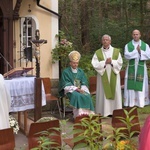 Z wizytą u Matki Bożej w Zielonej Dolinie