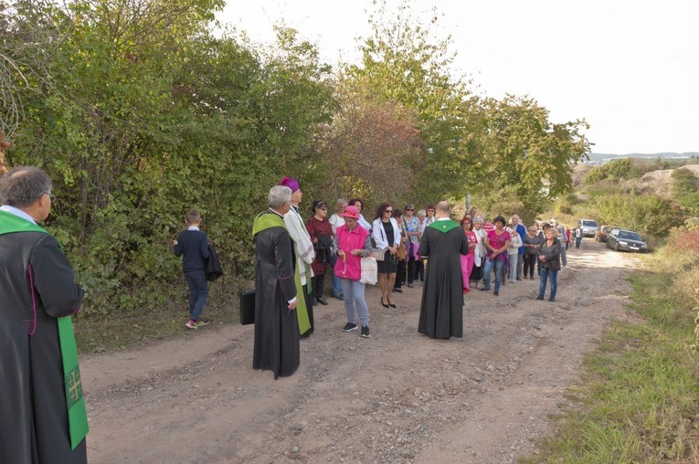 Z wizytą u Matki Bożej w Zielonej Dolinie