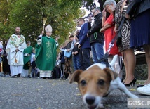 Akcja "Kromka chleba dla sąsiada" i Niedziela św. Franciszka w Jaczowie