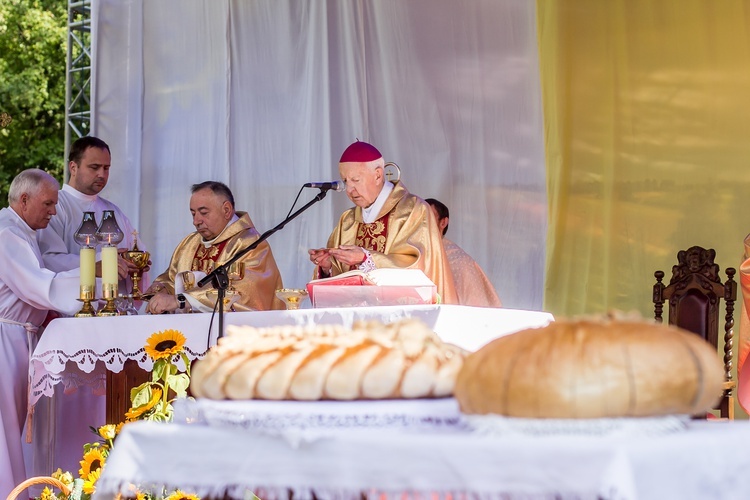 Dożynki wojewódzkie