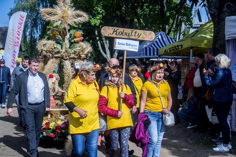 Dożynki wojewódzkie