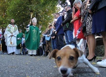 Akcja "Kromka chleba dla sąsiada" i Niedziela św. Franciszka w Jaczowie