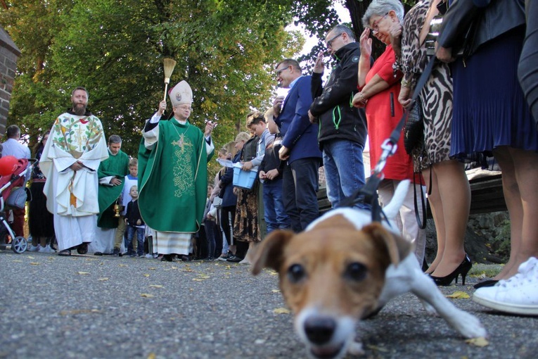 Akcja "Kromka chleba dla sąsiada" i Niedziela św. Franciszka w Jaczowie