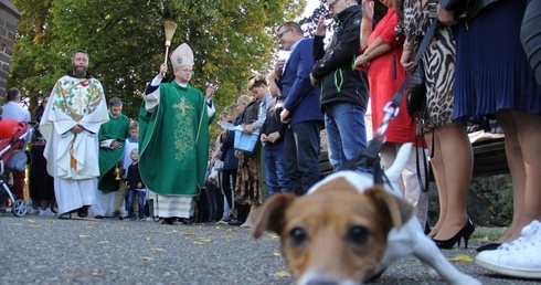 Akcja "Kromka chleba dla sąsiada" i Niedziela św. Franciszka w Jaczowie