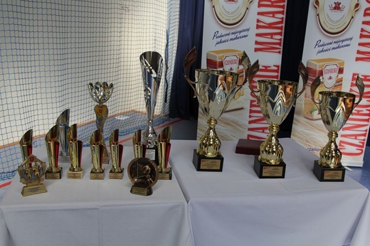 10. Międzynarodowe maltańsko-strażackie manewry ratownicze w Tresnej - 2019