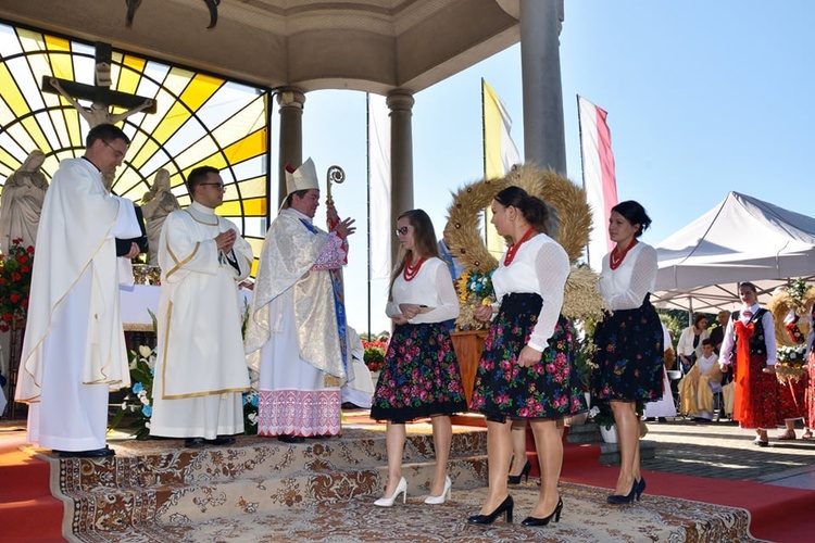 Limanowa. Harmonia pszczół i dar od Franciszka